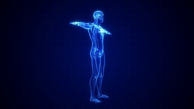 人体骨骼x射线|可循环视频下载