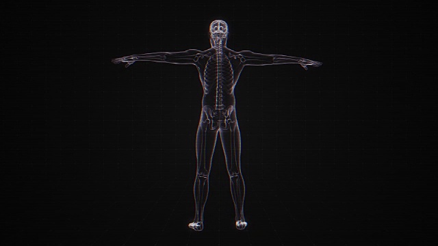 人体骨骼x射线|可循环视频素材