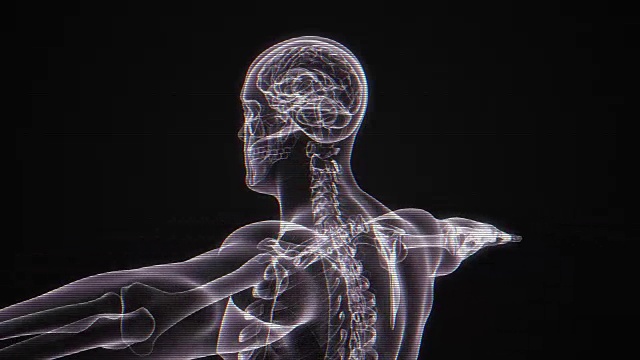 人体x射线|可循环视频素材
