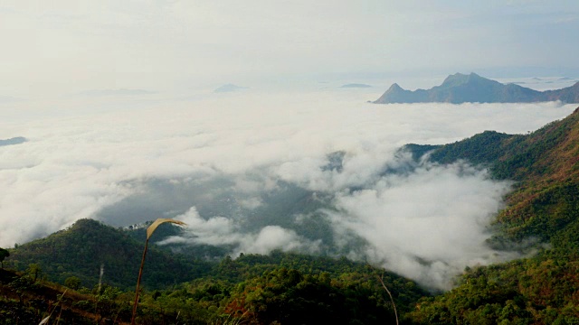 (时间Laspe)山脉景观与移动的雾在森林上的日出。视频素材