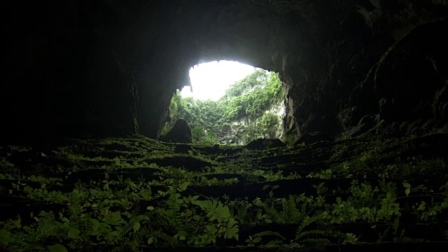 越南，韩松洞的天坑入口。视频下载