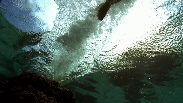 慢镜头低角度广角女子跳水到水面/塔希提的冲浪板上视频素材