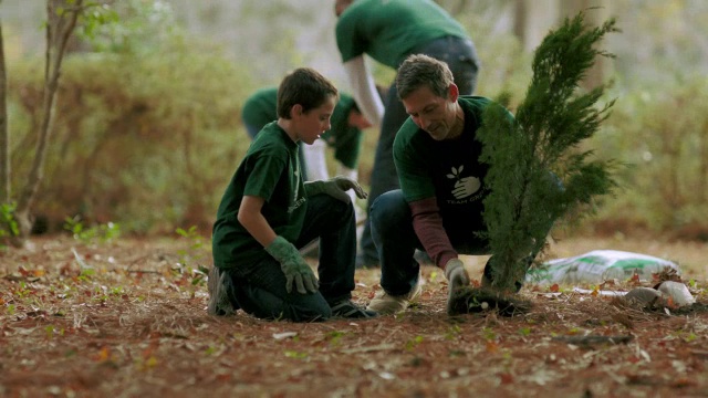 志愿者植树视频素材