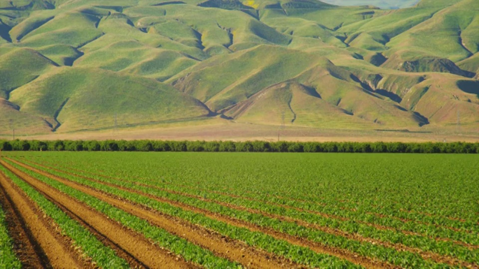 在加利福尼亚南部，连绵起伏的绿色山丘与番茄田接壤。视频下载