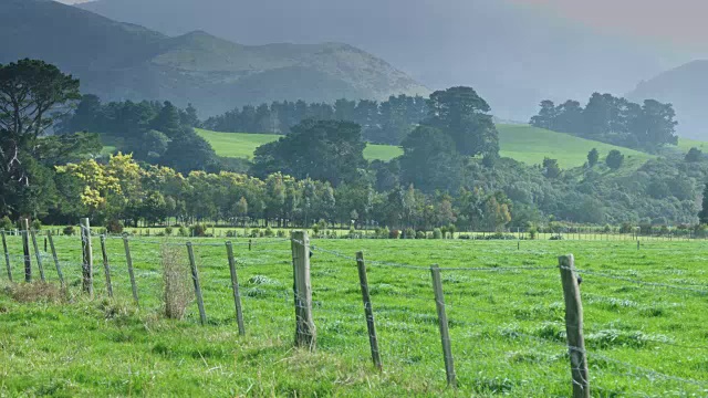 新西兰卡里卡里半岛田野上的雨视频下载