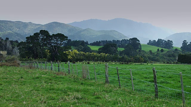 新西兰卡里卡里半岛田野上的雨视频素材