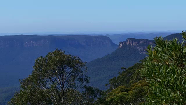 澳大利亚热带景观:蓝山视频下载