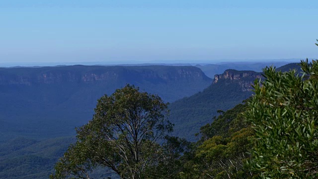 澳大利亚热带景观:蓝山视频下载