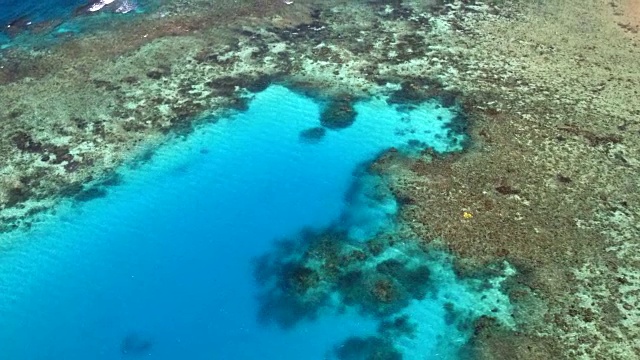 天线:大堡礁视频下载