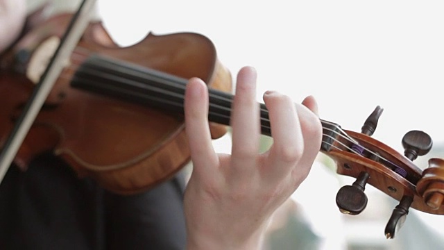 小提琴家拉小提琴视频下载