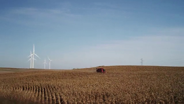 玉米地的收割由联合收割机和一系列白色风力涡轮机发电的背景。视频下载