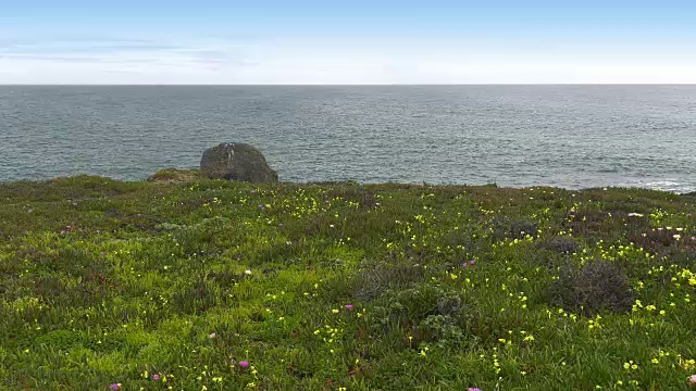 绿草，大海，蓝天。视频下载