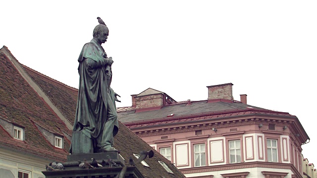 格拉茨——约翰大公雕像上的鸽子视频素材