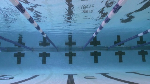 游泳者跳进游泳池，开始自由泳比赛。视频素材