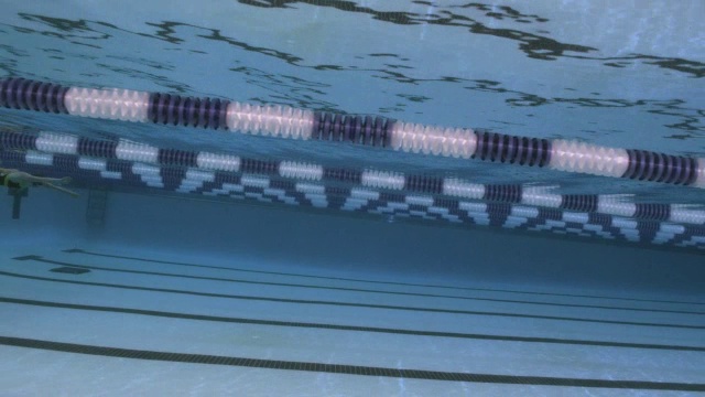 游泳者在游泳池中赛跑。视频素材
