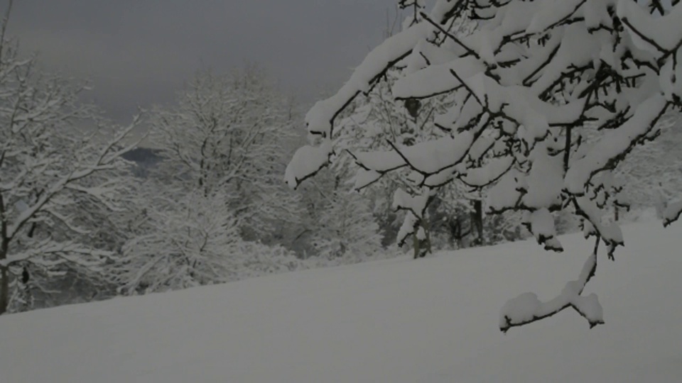 在乡下，厚厚的积雪覆盖着树木和田野。视频下载