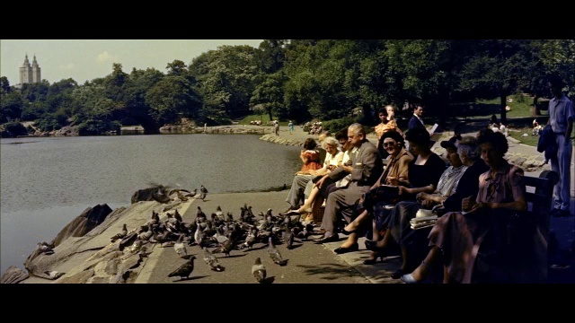 美国，纽约州，纽约市，坐在河边长凳上的人们视频下载