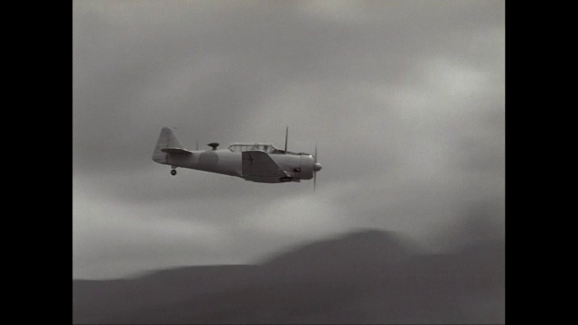 WS TS二战战斗机飞过树和山/美国视频下载