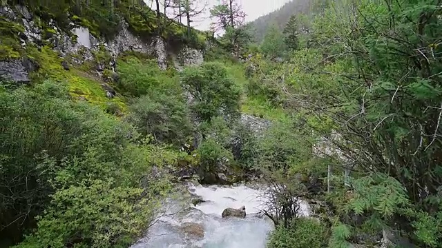 水流在亚丁国家保护区视频素材