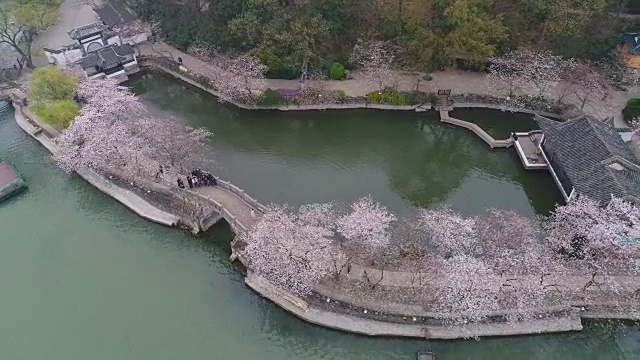 空龟头岛位于无锡市太湖樱花景区视频素材