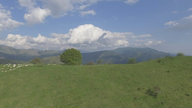 鸟瞰起伏的绿色山丘视频下载