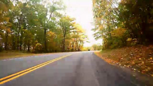 开车去新英格兰找树叶视频素材