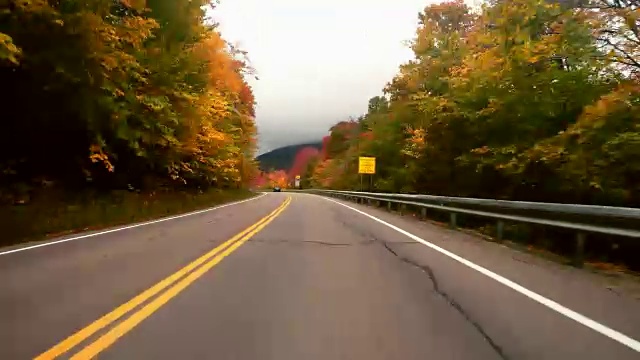 开车去新英格兰找树叶视频素材