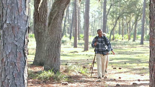 老非裔美国人夫妇在树林里徒步旅行视频素材