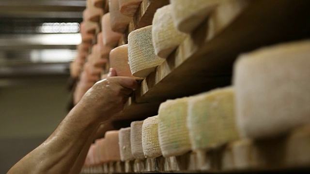 意大利，卡瓦尔斯，乳制品，成熟山羊奶酪视频下载