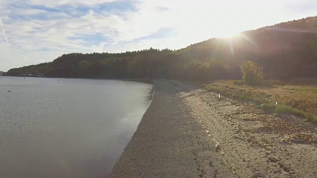 河岸、森林、太阳鸟瞰图视频下载