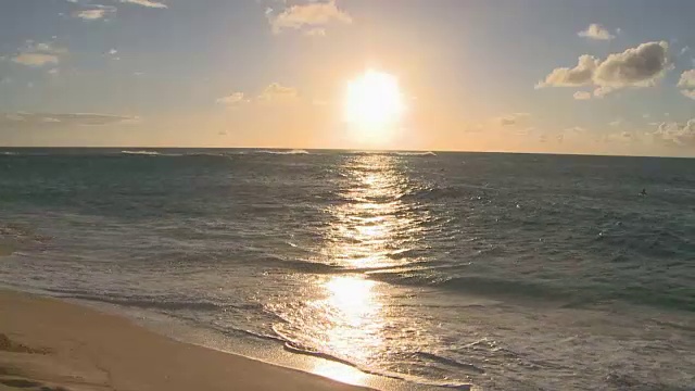 夏威夷檀的日落视频素材
