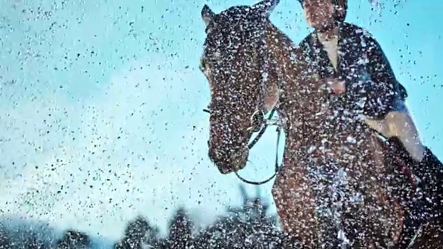 慢动作马和他的骑手跳过水幕视频素材