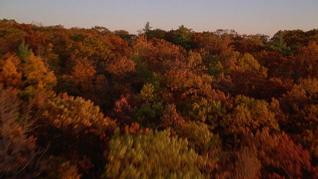 从空中俯瞰秋天的森林和湖泊/新英格兰视频素材
