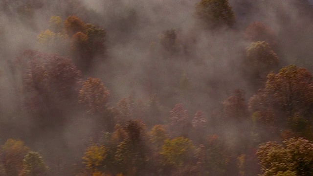 从空中俯瞰秋天/新英格兰的雾、树和道路视频素材