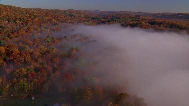 从空中俯瞰秋天的树和雾/新英格兰视频素材