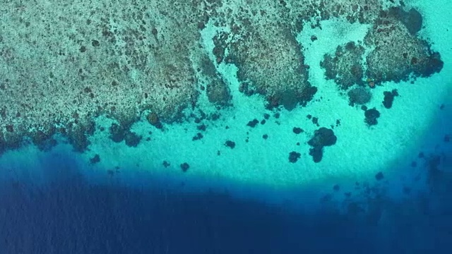 巴布亚新几内亚珊瑚礁的鸟瞰图视频下载