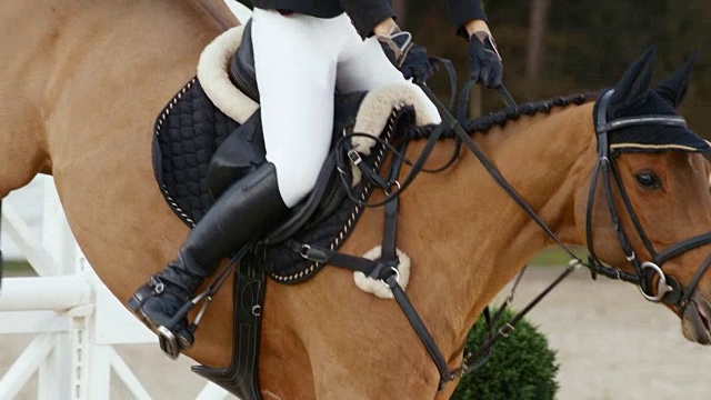 SLO MO DS栗色马与它的女骑手跳过障碍视频素材