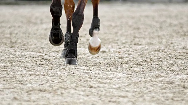 在沙地上奔跑的棕色马的蹄子视频素材