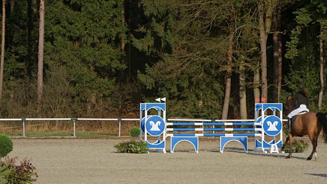 棕色的马和他的骑手跳过牛栏和跨栏视频下载
