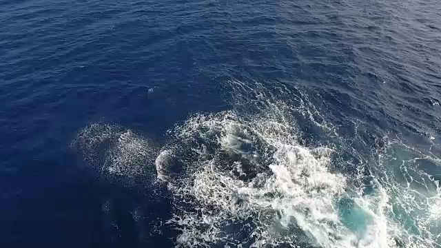 座头鲸拍打尾片的鸟瞰图视频素材