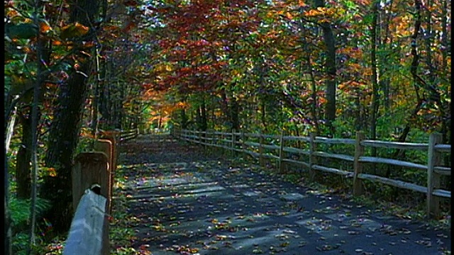 宽镜头乡村公路在夏天，秋天，冬天和春天变化视频素材