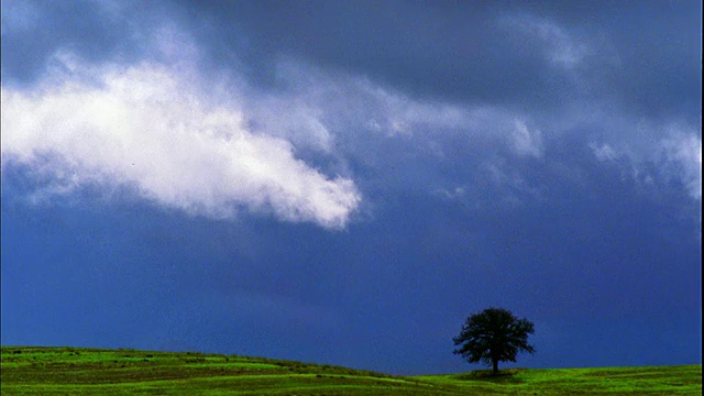 远处拍摄山坡上一棵孤零零的橡树，天空中有云/布拉德利，加利福尼亚视频下载