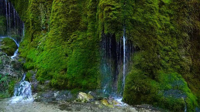 三米尔斯瀑布，Vulkaneifel自然公园和地质公园，西部艾菲尔领土，艾菲尔地区，德国，欧洲视频素材