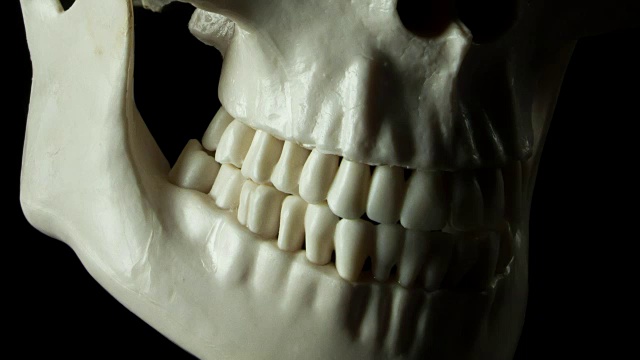 人类头骨旋转，牙齿特写视频下载