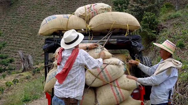 农民们把一袋袋咖啡绑在车上视频下载