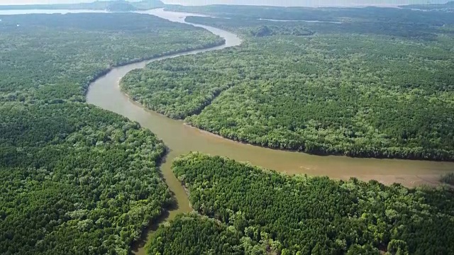 泰国拉廊红树林和河流的鸟瞰图视频购买