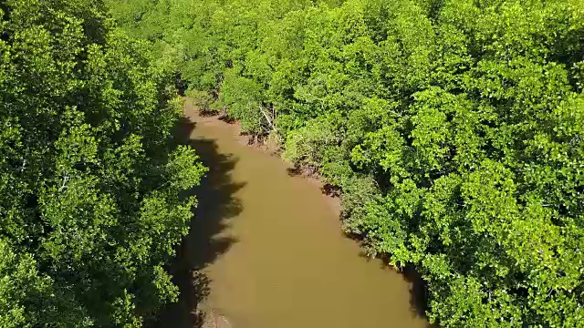 泰国拉廊红树林和河流的鸟瞰图视频购买