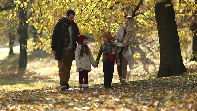 快乐的一家人在秋天散步在公园里。视频素材