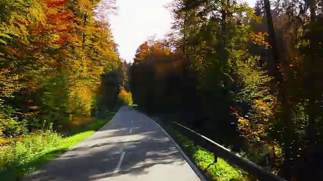在阳光明媚的日子里，驾车穿过秋天的森林视频素材
