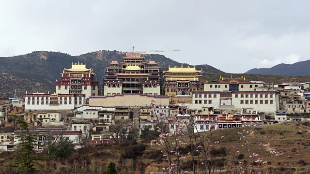 甘丹松色林寺，香格里拉，云南，中国视频素材